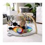 Voir la diapositive 2 : BABY EINSTEIN BABY EINSTEIN Zen's Activity Milestones tapis d'éveil avec barre en bois, jouets multisensoriels, des la naissance