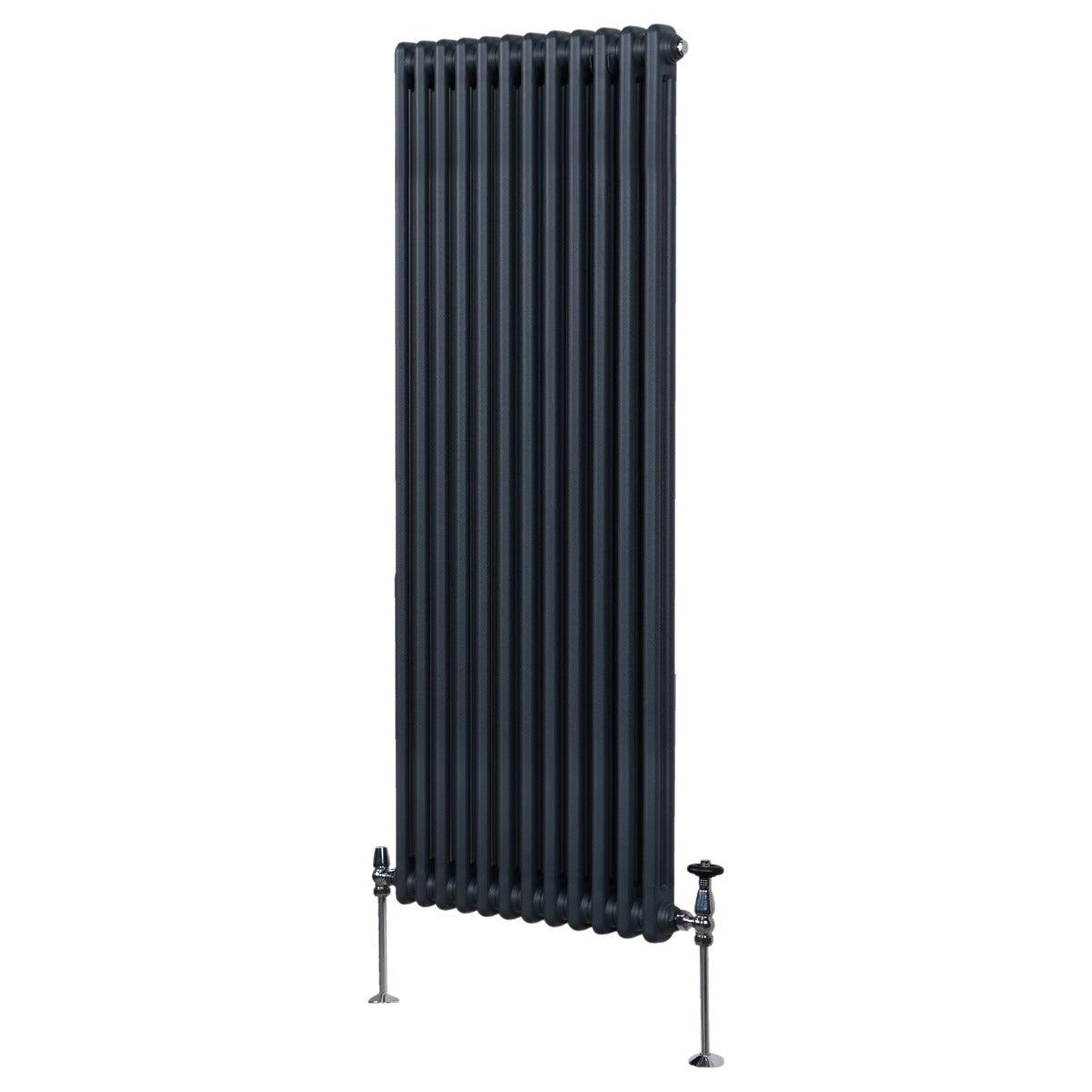 Voir la diapositive 1 : MONSTERSHOP Radiateur traditionnel à 2 colonnes – 1800 x 562 mm