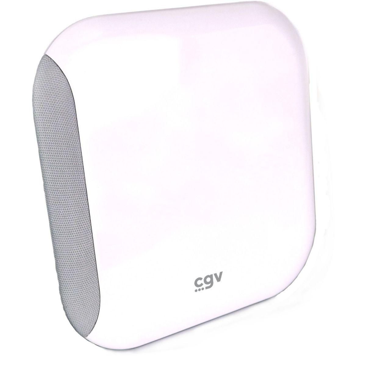 CGV Antenne intérieure AN-LOOK 2M CE RED 700