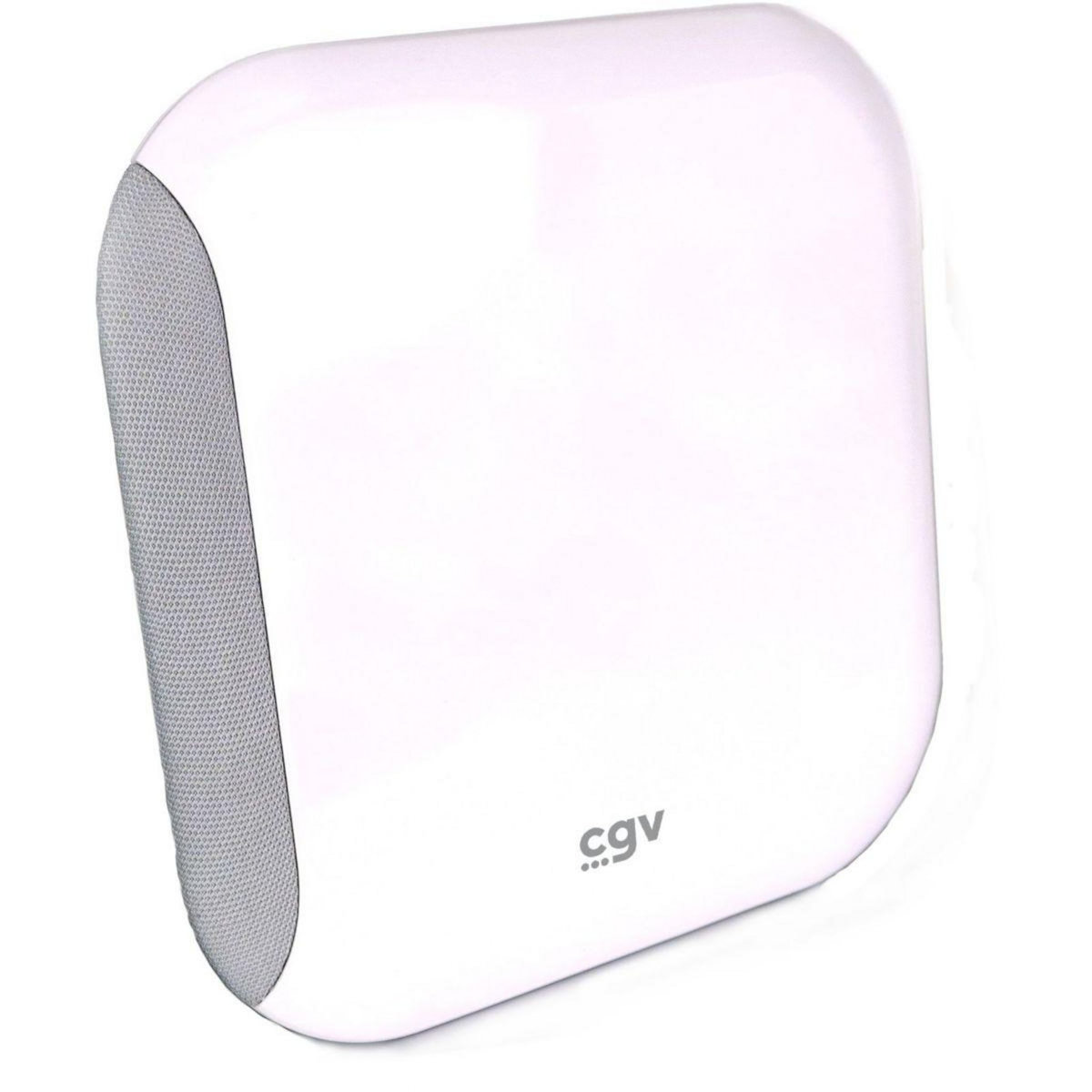 CGV Antenne intérieure AN-LOOK 2M CE RED 700