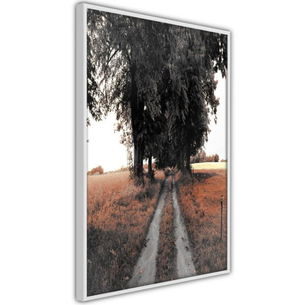 Paris Prix Affiche Murale Encadrée  Field Path