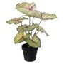 Voir la diapositive 1 : Paris Prix Plante Artificielle en Pot  Caladium  41cm Vert Clair