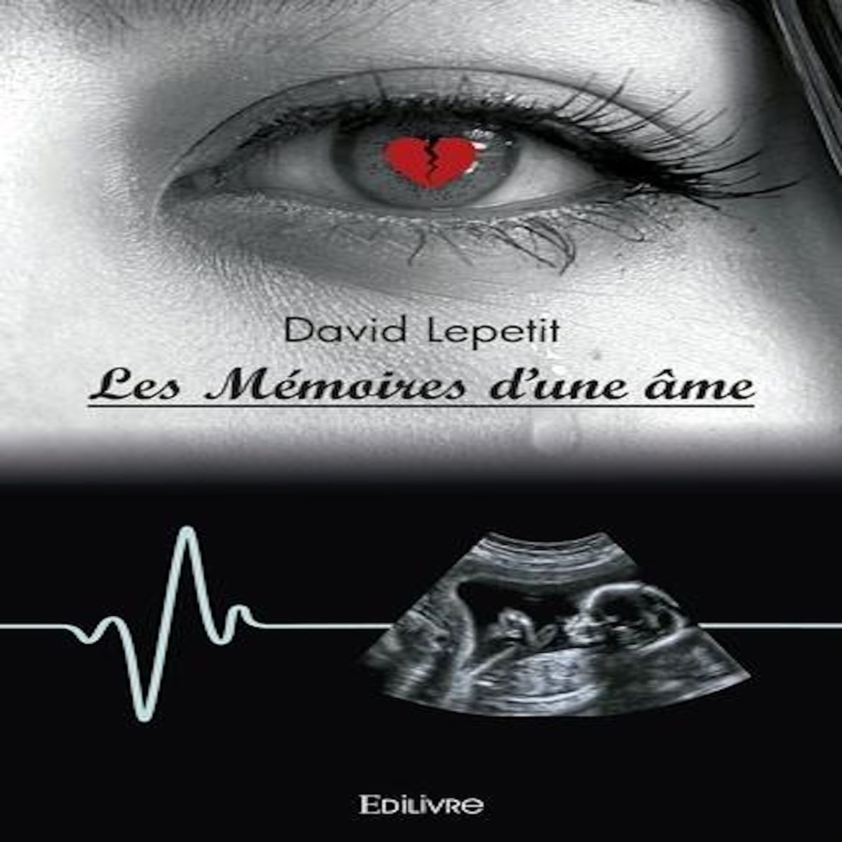LES MEMOIRES D'UNE AME, Lepetit David