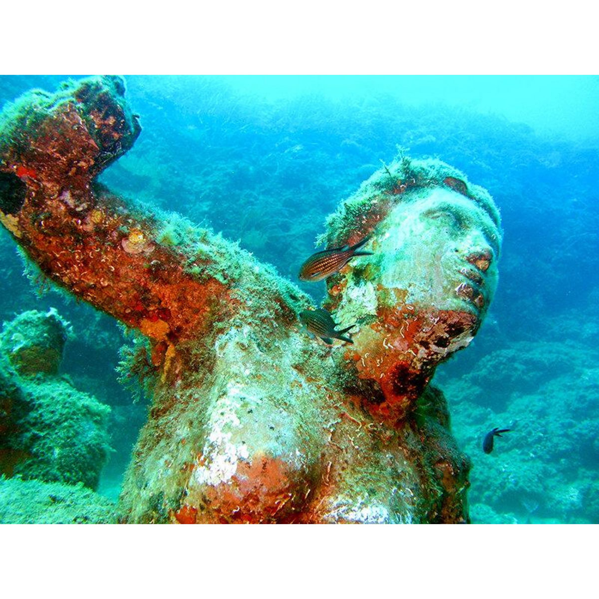 Smartbox 6h d'aventure sous-marine : baptême de plongée et randonnée palmée autonome à Fréjus - Coffret Cadeau Sport & Aventure