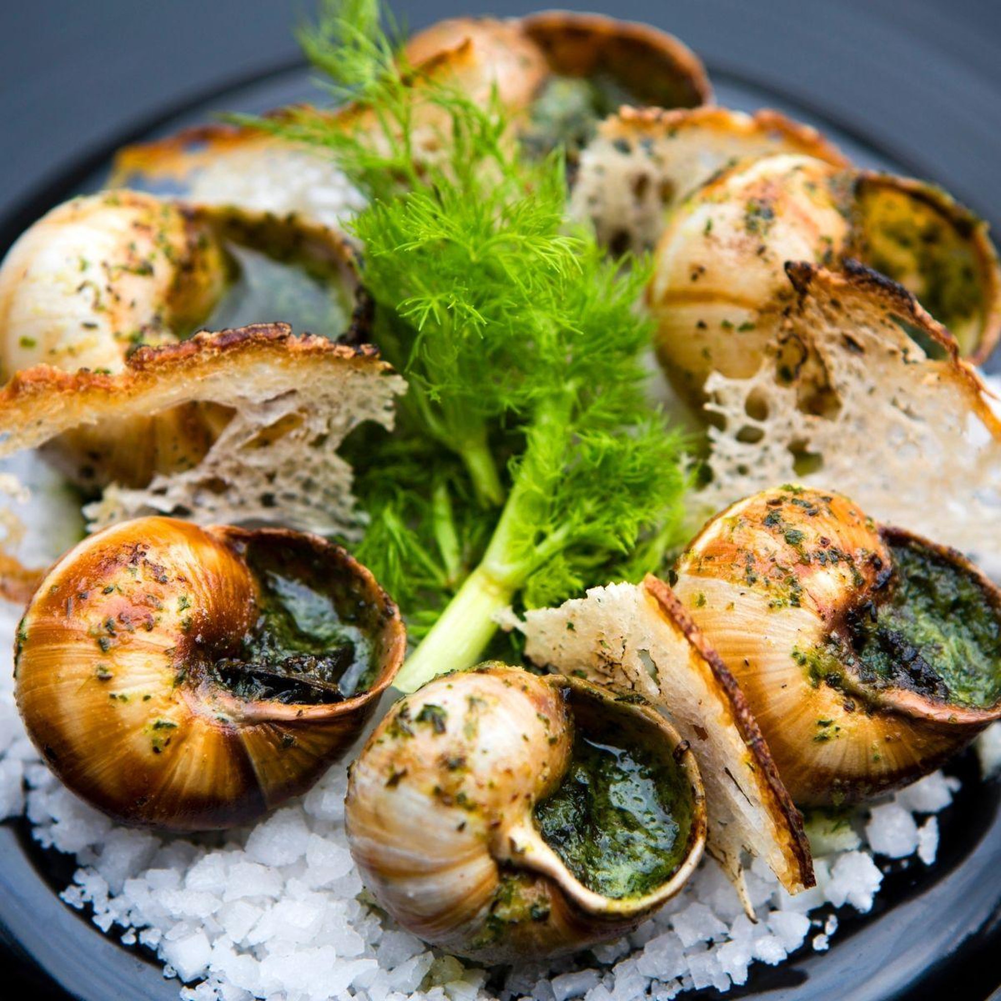 Voir la diapositive 6 : Fackelmann Lot de 10 plats à escargots en aluminium 17,5 cm Fackelmann