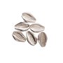 RICO DESIGN 6 Perles - Coquillages argent - 2 perforations