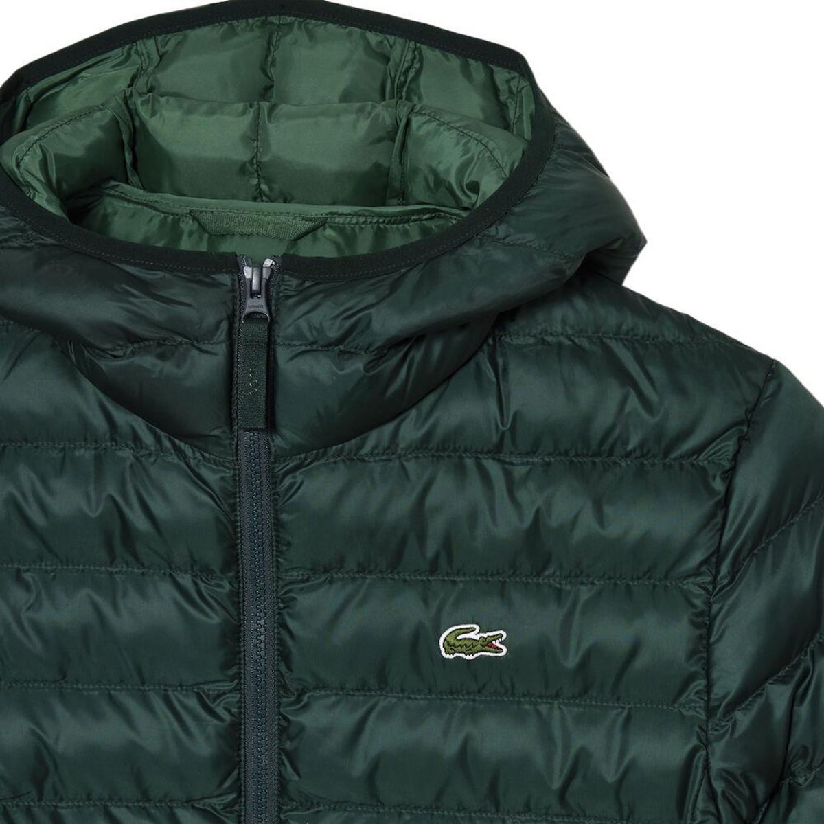 Lacoste Doudoune  Foncé Homme Lacoste BH0539