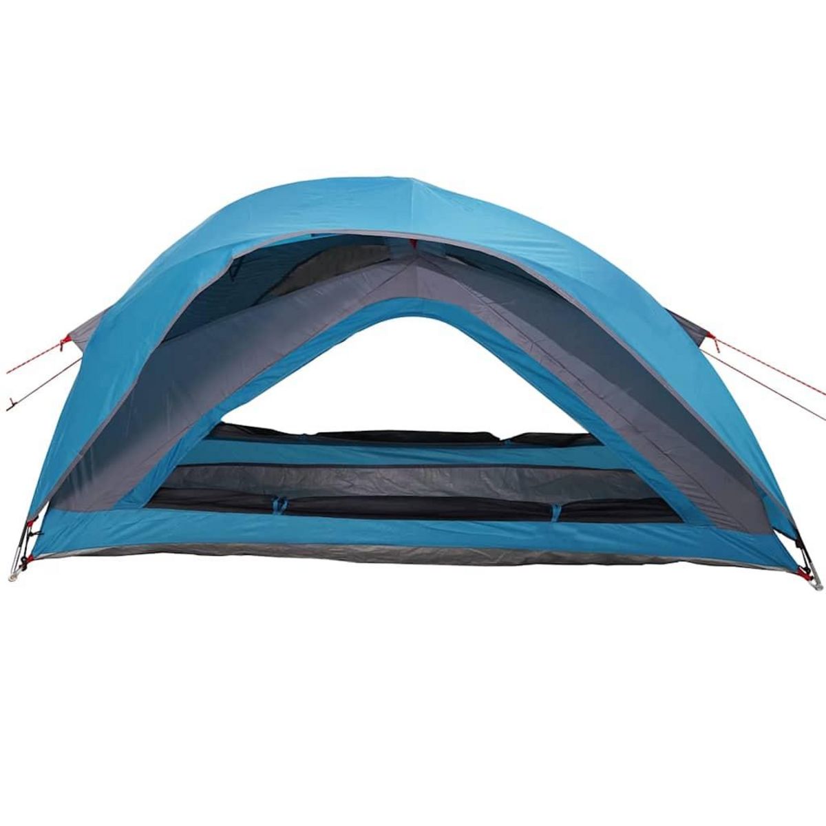 VIDAXL Tente de camping 1 personne bleu impermeable