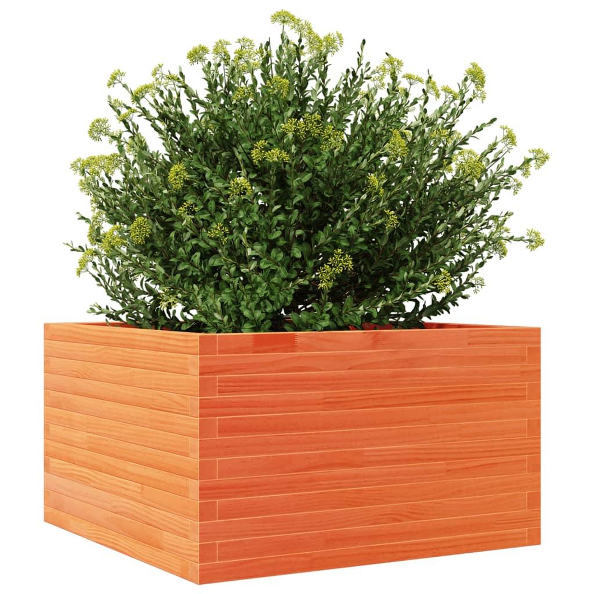 Voir la diapositive 4 : VIDAXL Jardiniere cire marron 80x80x45,5 cm bois de pin massif