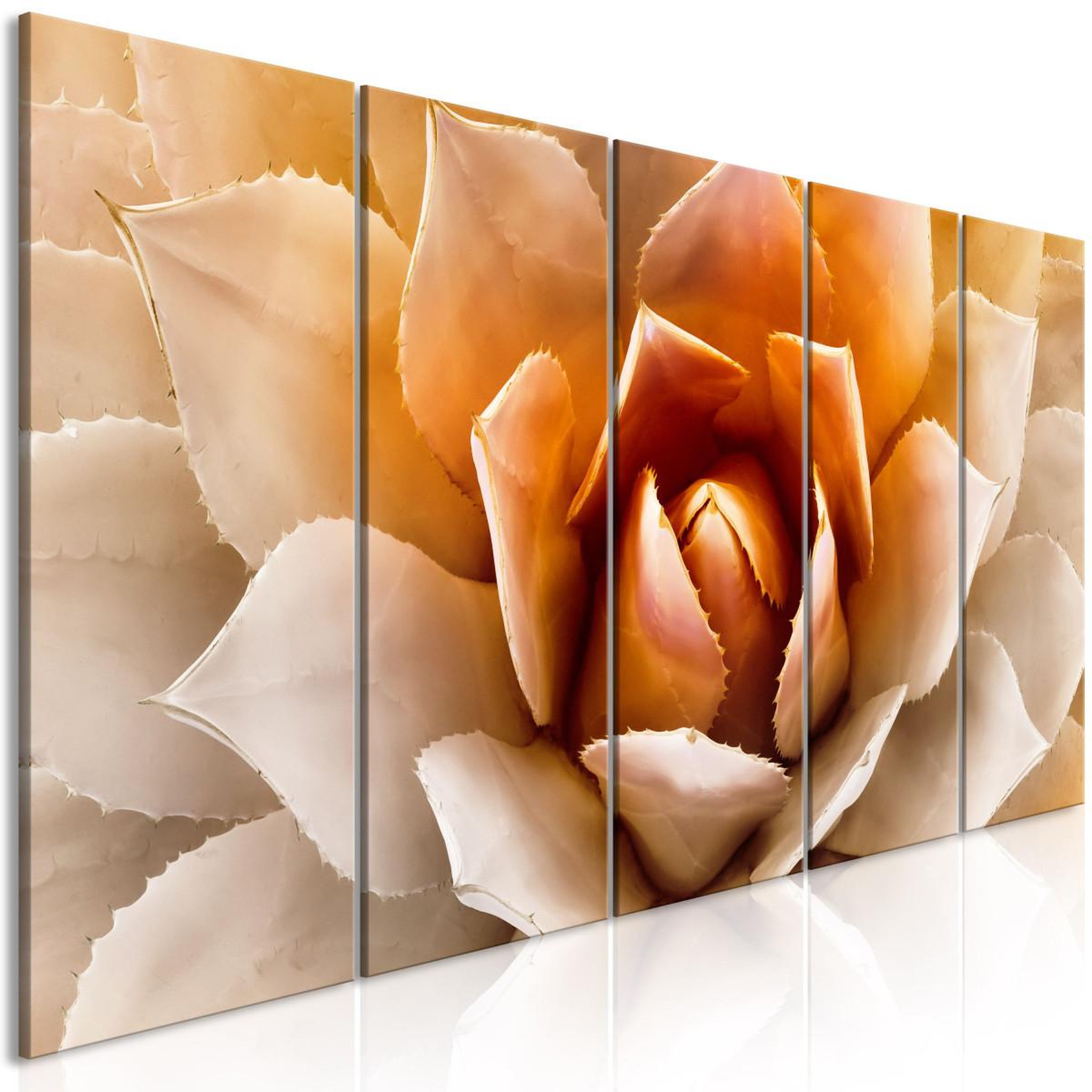 Voir la diapositive 1 : Paris Prix Tableau Imprimé 5 Panneaux  Agave Narrow Orange