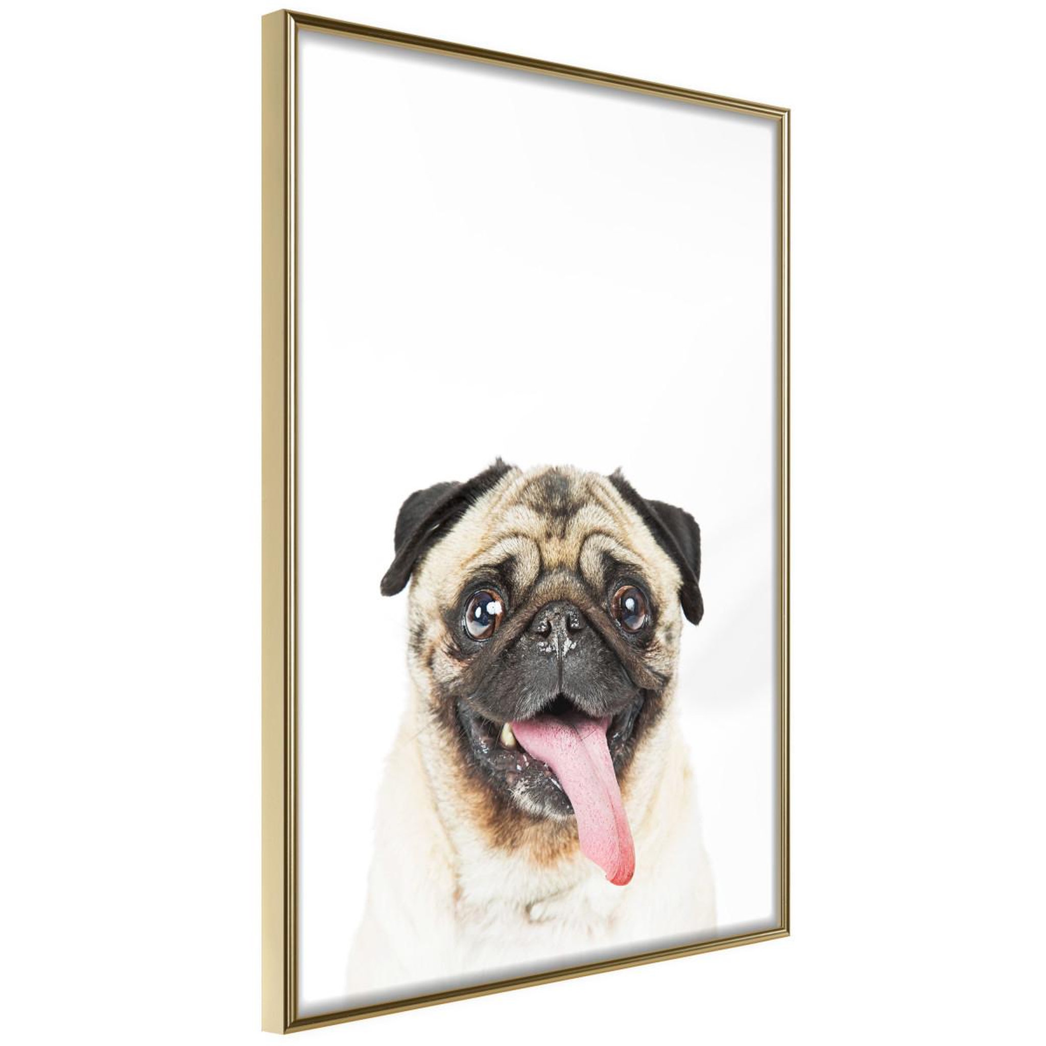 Voir la diapositive 1 : Paris Prix Affiche Murale Encadrée  Funny Pug