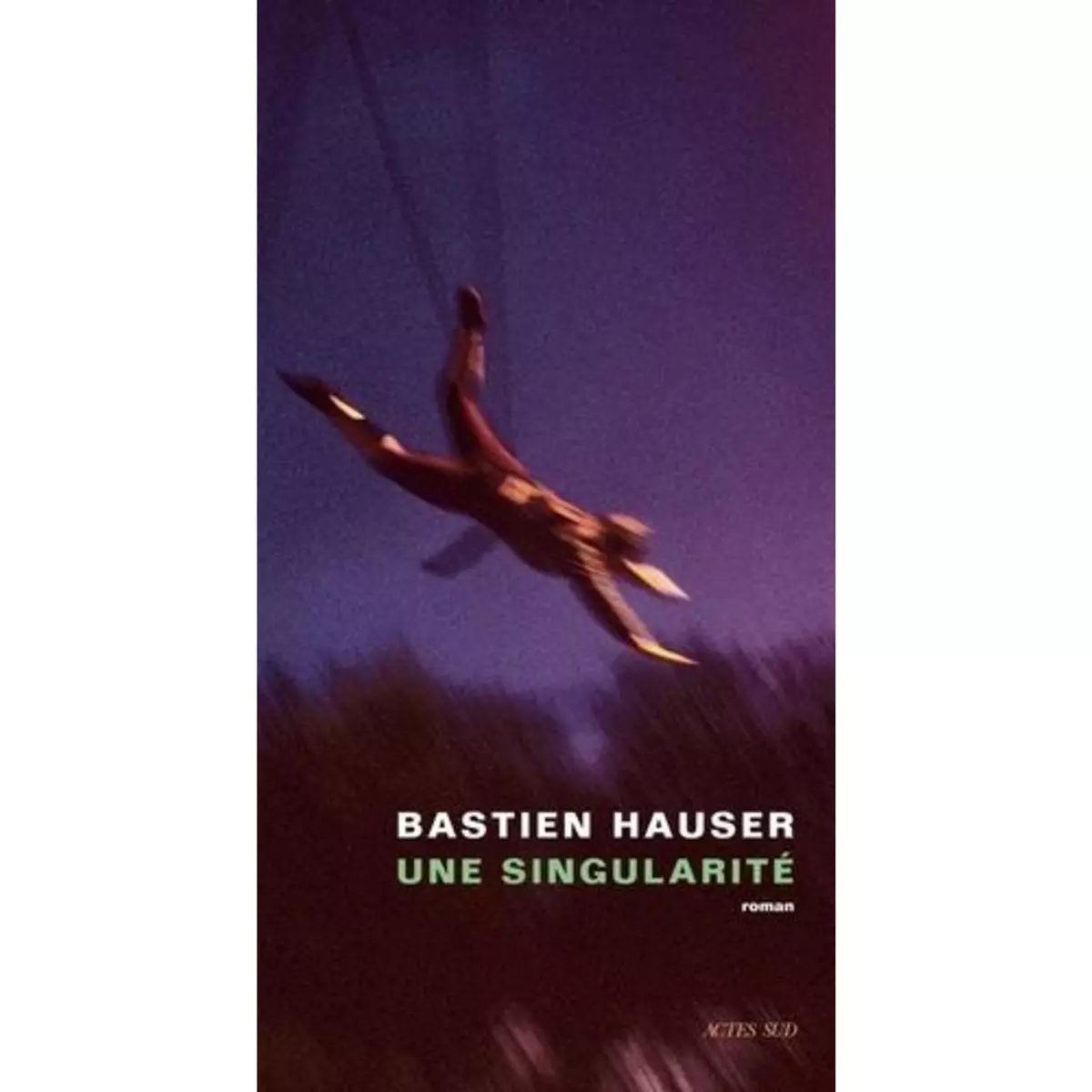  UNE SINGULARITE, Hauser Bastien