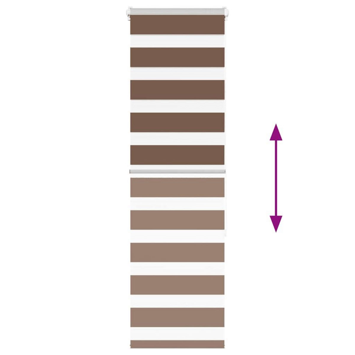 VIDAXL Store zebre marron 40x150 cm largeur du tissu 35,9 cm polyester