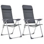 Voir la diapositive 1 : VIDAXL Chaise de camping lot de 2 Gris 58x69x111 cm Aluminium