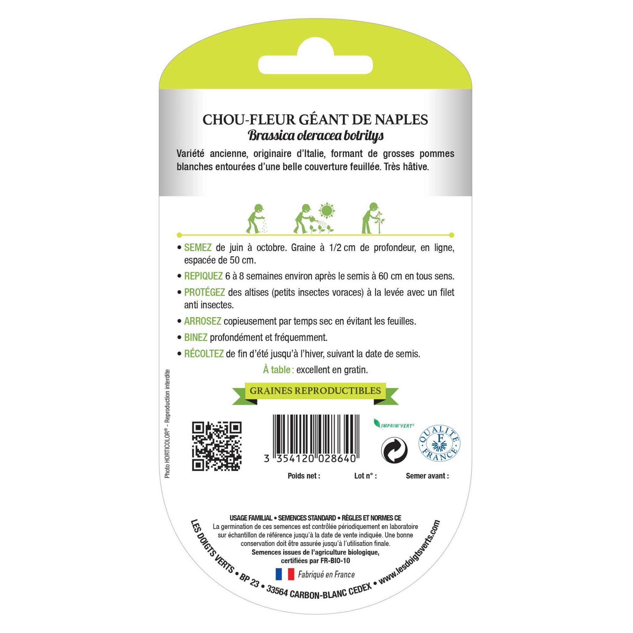 LES DOIGTS VERTS Graines Chou-fleur géant de Naples BIO Les Doigts Verts