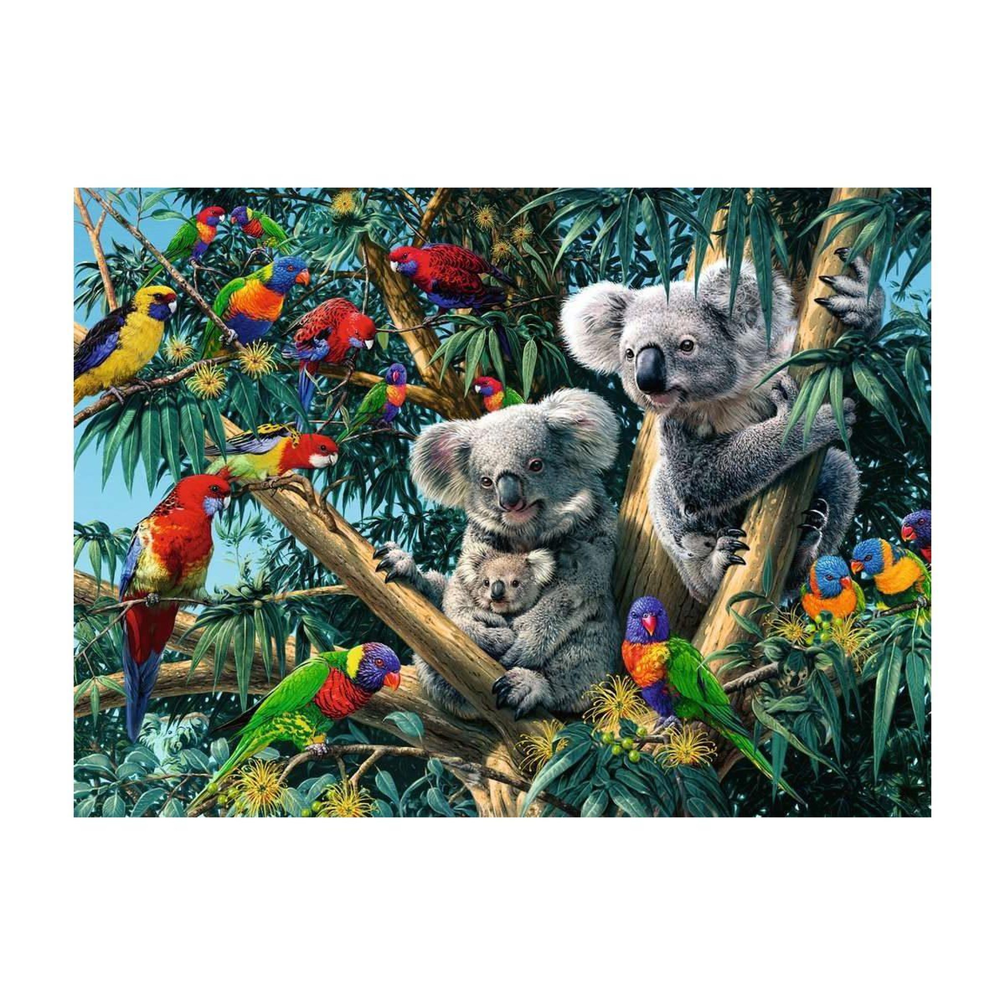 RAVENSBURGER Puzzle 500 p - koalas dans l arbre
