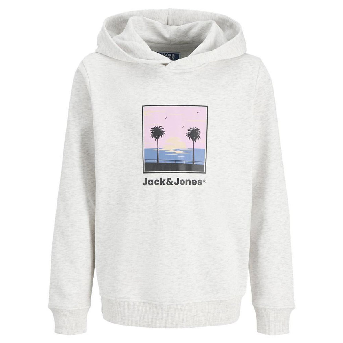 Jack & Jones Sweat Gris Garçon Jack and Jones Hood