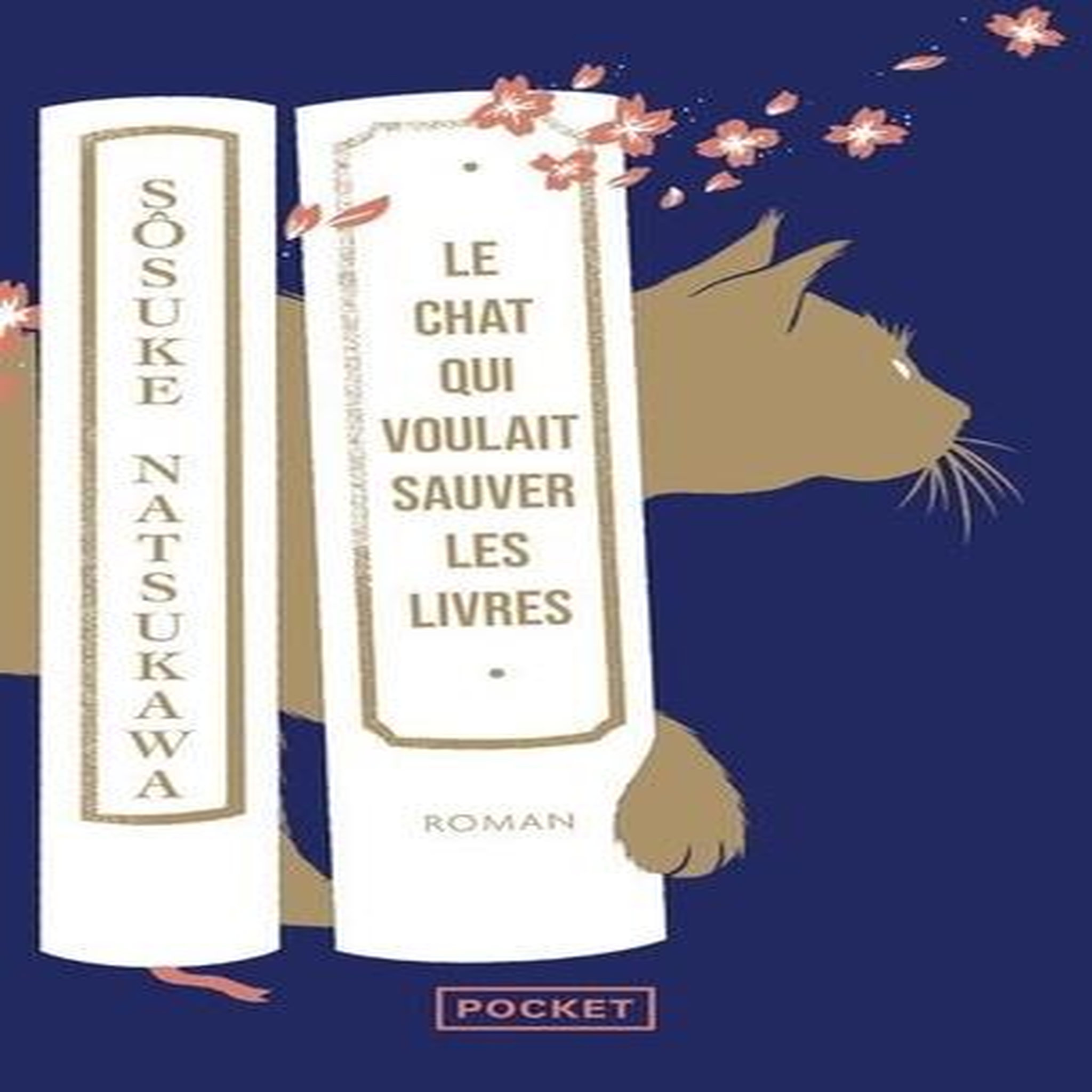 LE CHAT QUI VOULAIT SAUVER LES LIVRES, Natsukawa Sosuke