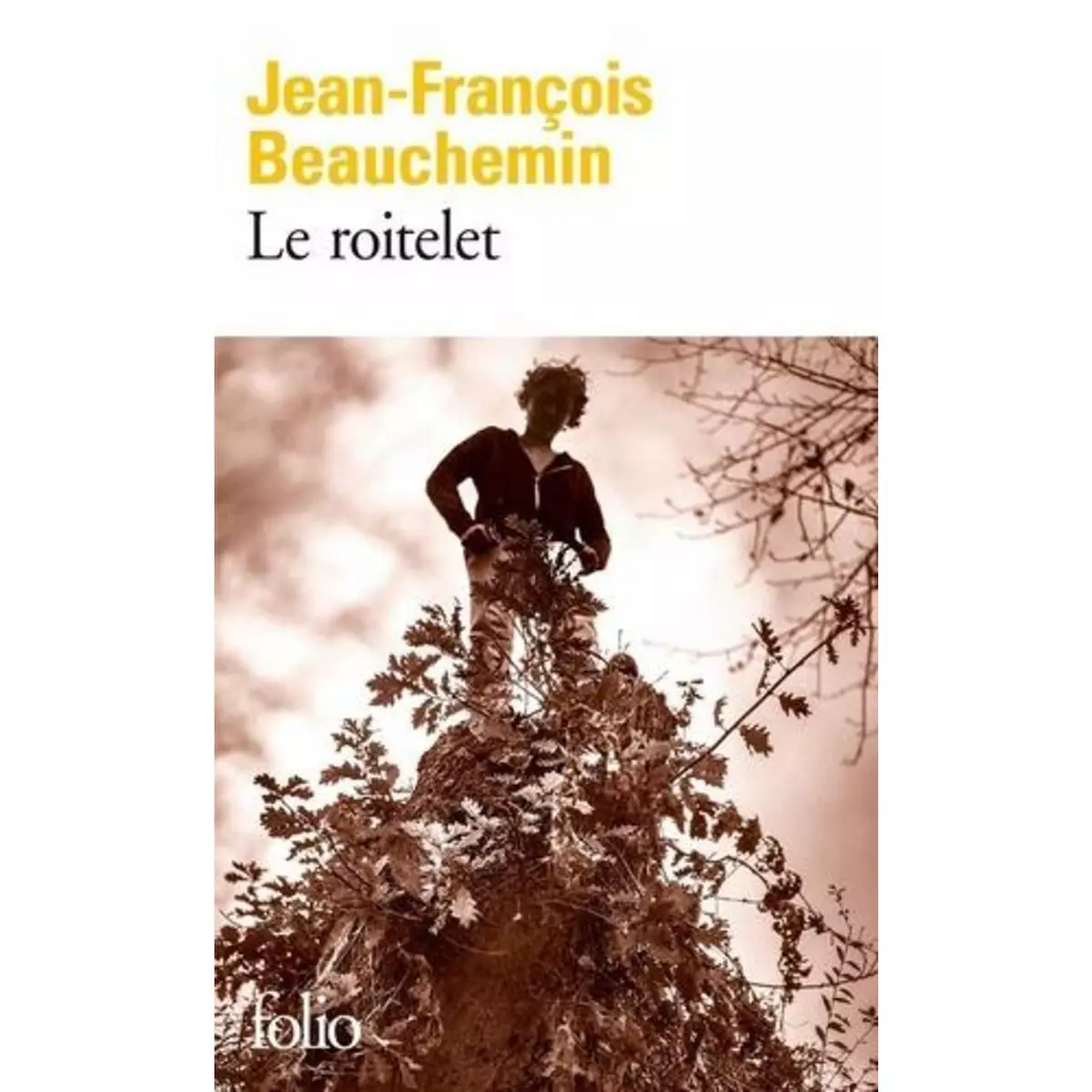  LE ROITELET, Beauchemin Jean-François