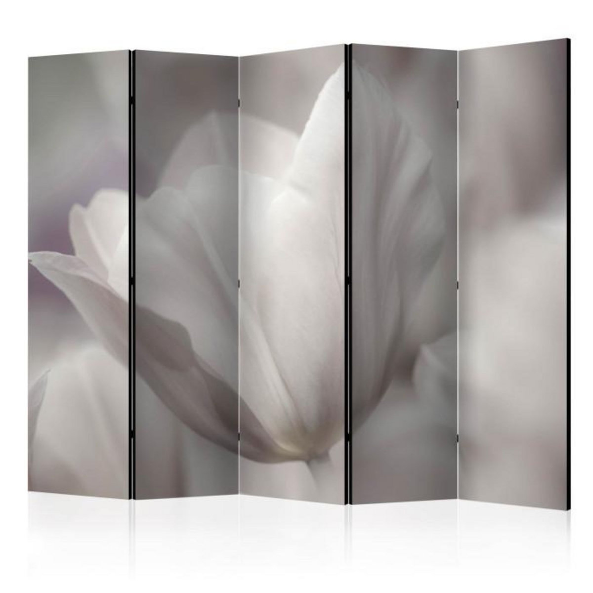 Paris Prix Paravent 5 Volets  Tulip Black & White Photo  172x225cm