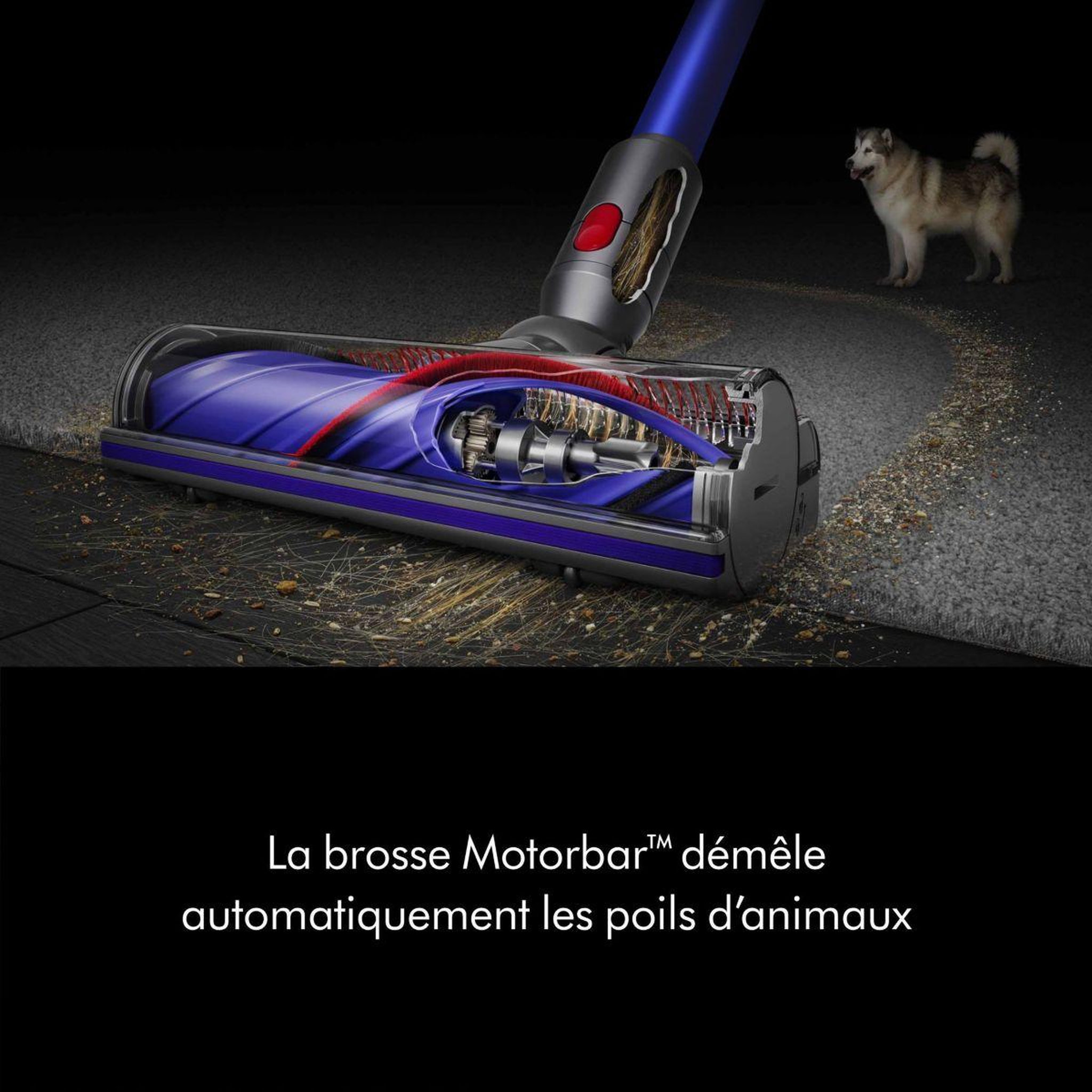 Voir la diapositive 3 : Dyson Aspirateur balai v11 advanced
