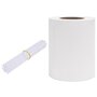 Voir la diapositive 2 : VIDAXL Ecran d'intimite de jardin PVC 70x0,19 m Blanc