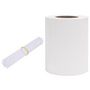 Voir la diapositive 2 : VIDAXL Ecran d'intimite de jardin PVC 70x0,19 m Blanc