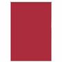 Voir la diapositive 2 : VIDAXL Store enrouleur occultant rouge largeur du tissu 85,7 cm