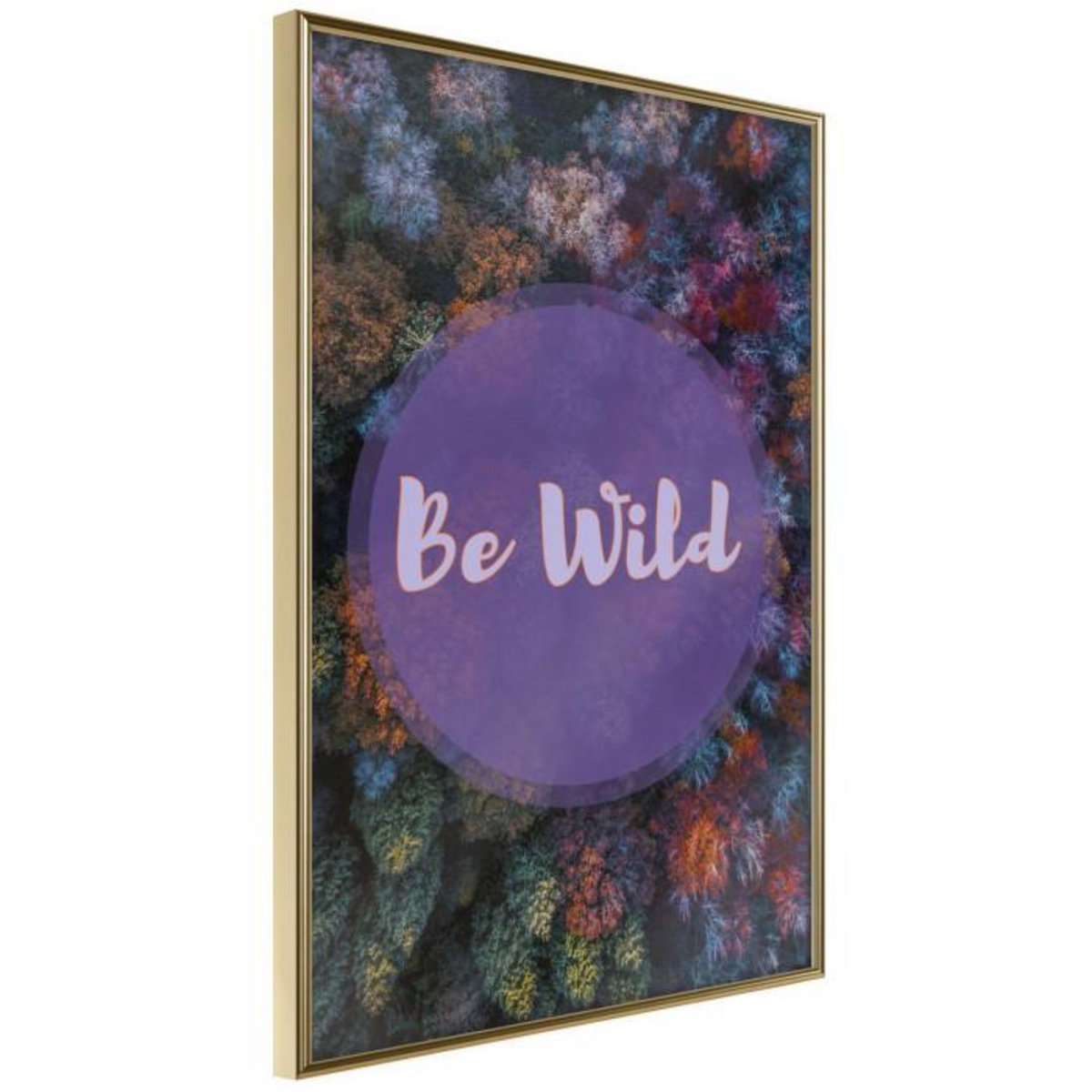 Paris Prix Affiche Murale Encadrée  Find Wildness in Yourself