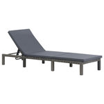 VIDAXL Chaise longue avec coussin Resine tressee Anthracite