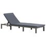 Voir la diapositive 1 : VIDAXL Chaise longue avec coussin Resine tressee Anthracite