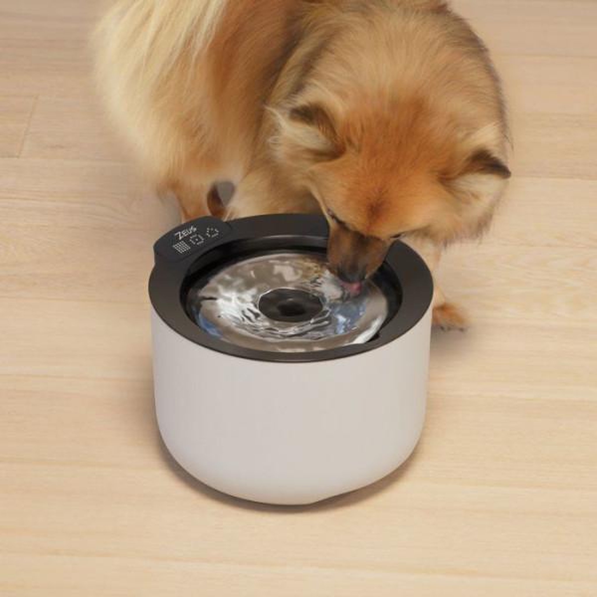 Voir la diapositive 3 : ZEUS Fontaine a eau connectée pour chiens - zeus - oasis plus - capacité 3 l - purification uvc - wi-fi