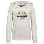 Jack & Jones Sweat Gris Garçon Jack & Jones Palm. Coloris disponibles : Gris