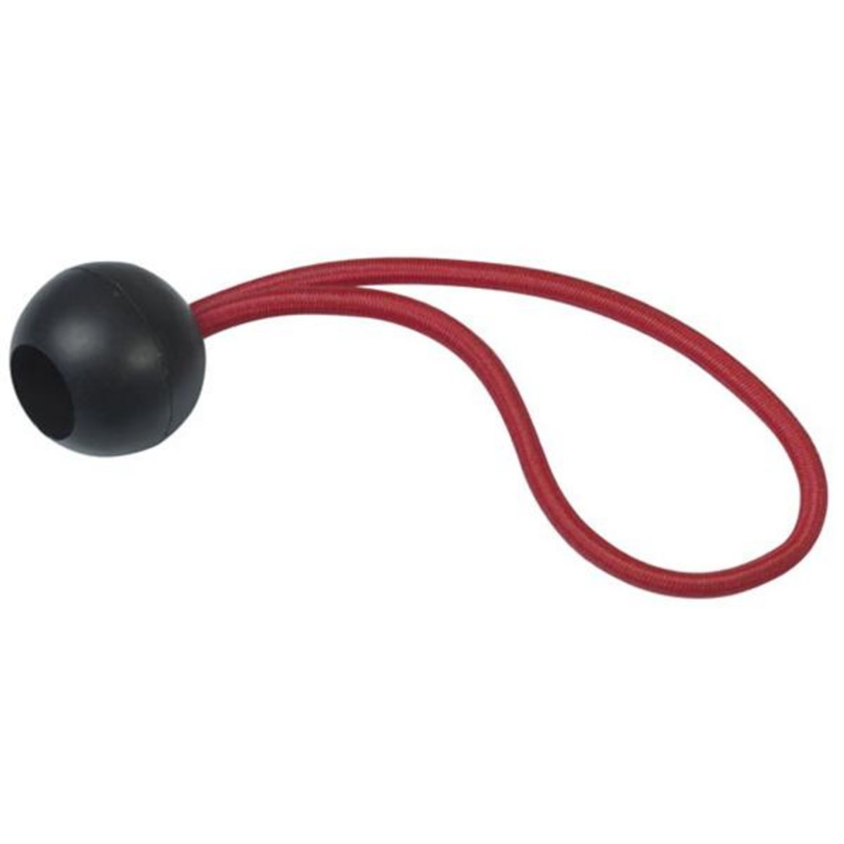 Ribiland Lot de 10 attaches rapides élastiques pour bâche - prbcearx10