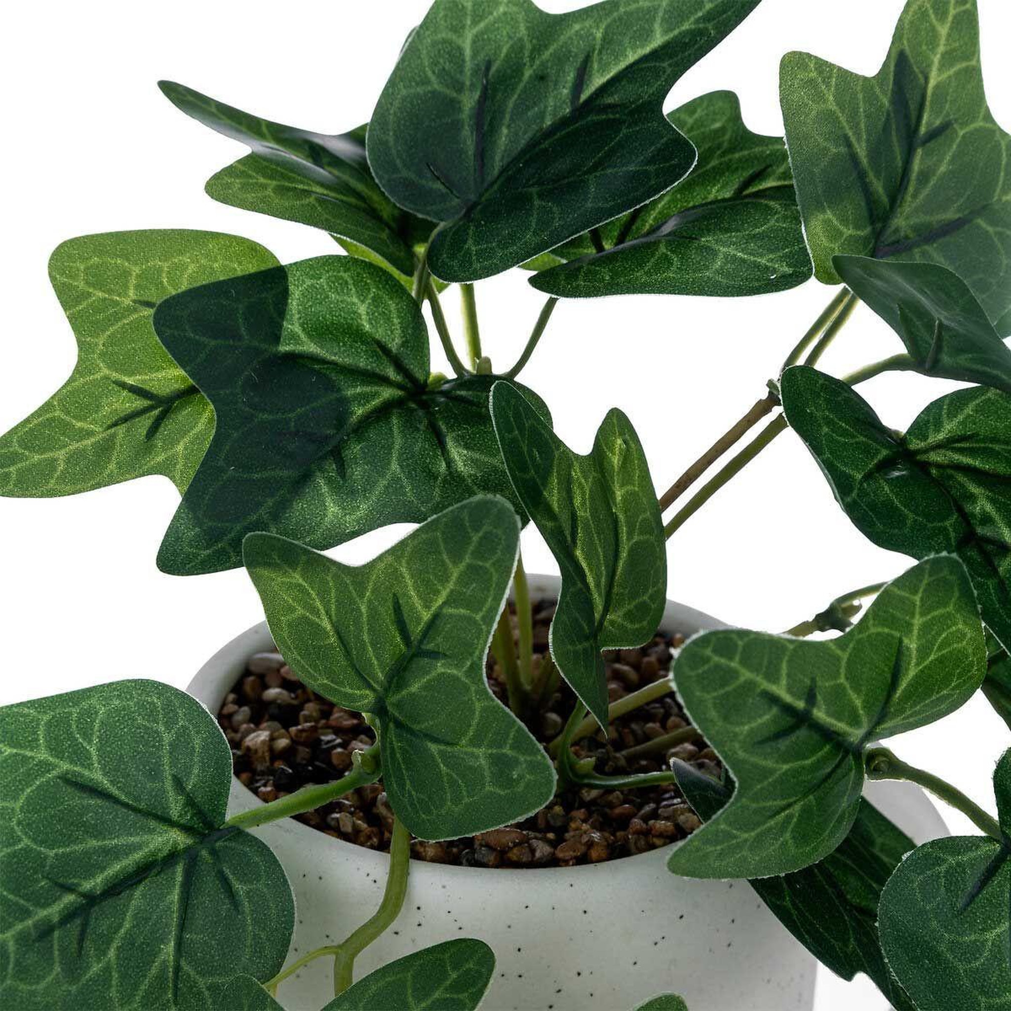 Voir la diapositive 2 : ATMOSPHERA Plante artificielle en pot  lierre  24cm blanc