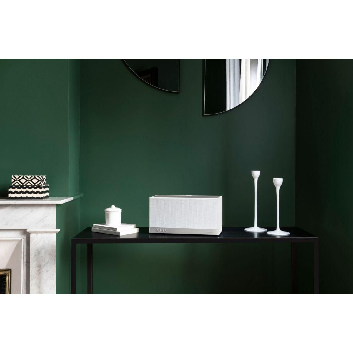 Triangle Enceinte résidentielle AIO 3 Blanc givré