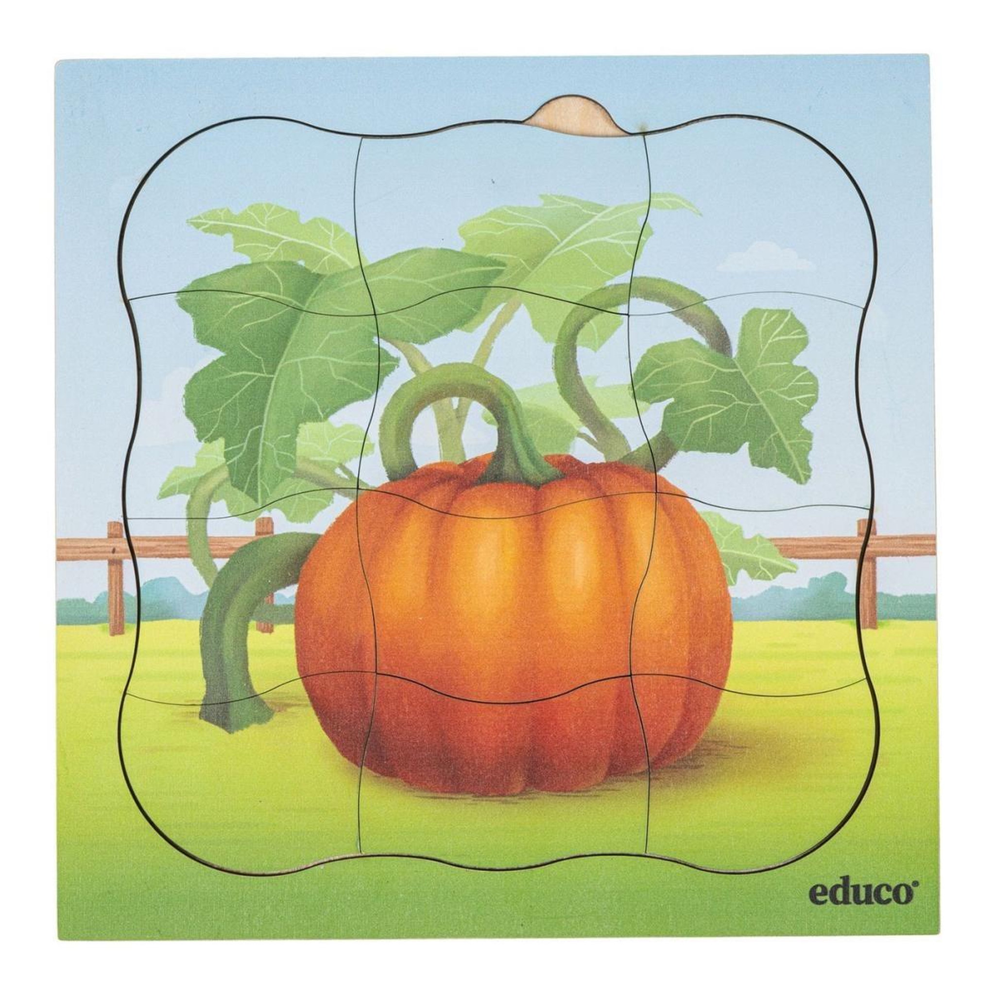 Voir la diapositive 5 : EDUCO À la ferme - lot combiné — 5 puzzles