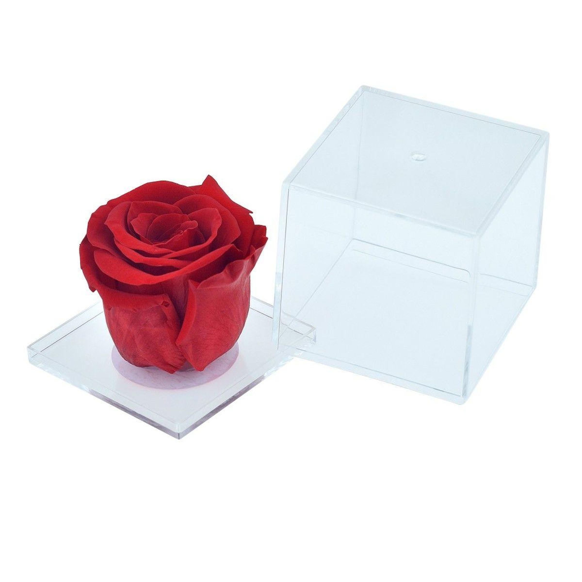SC CRYSTAL Ecrin décoré d'une rose éternelle rouge