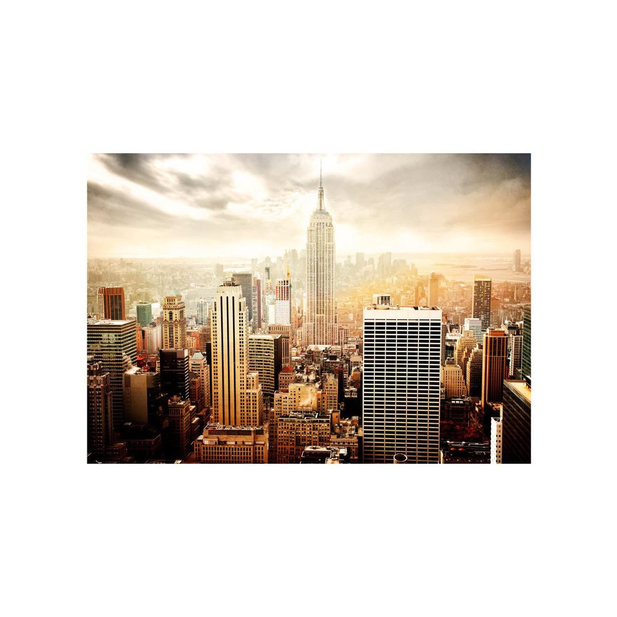 Voir la diapositive 2 : Paris Prix Papier peint  uncombed by wind