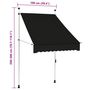 Voir la diapositive 6 : VIDAXL Auvent manuel retractable 100 cm anthracite