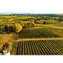 Smartbox Découverte de vignes biodynamiques avec dégustation de vins en Gironde - Coffret Cadeau Sport & Aventure