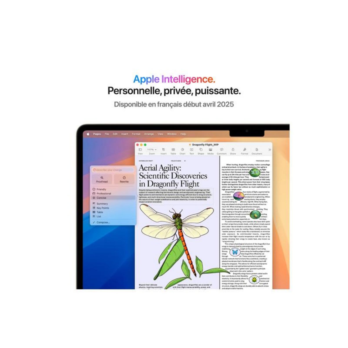 APPLE Ordinateur Apple Air 15' M4 CPU10 GPU10 24Go 512Go Lumière