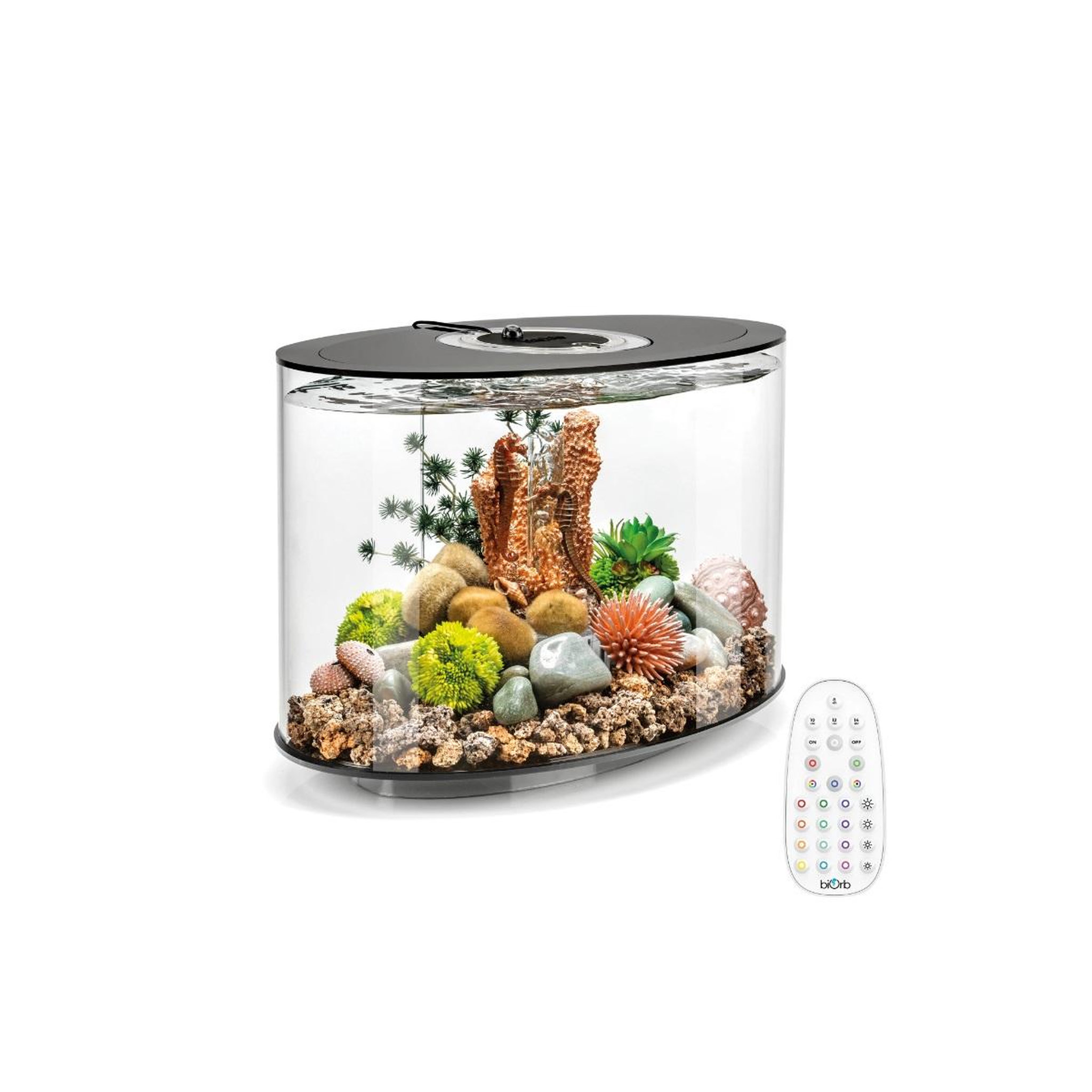 Oase Aquarium long 15l contours noir - loop 15 mcr black