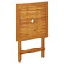 Voir la diapositive 4 : VIDAXL Table pliable de jardin 60x60x75 cm Bois d'acacia solide