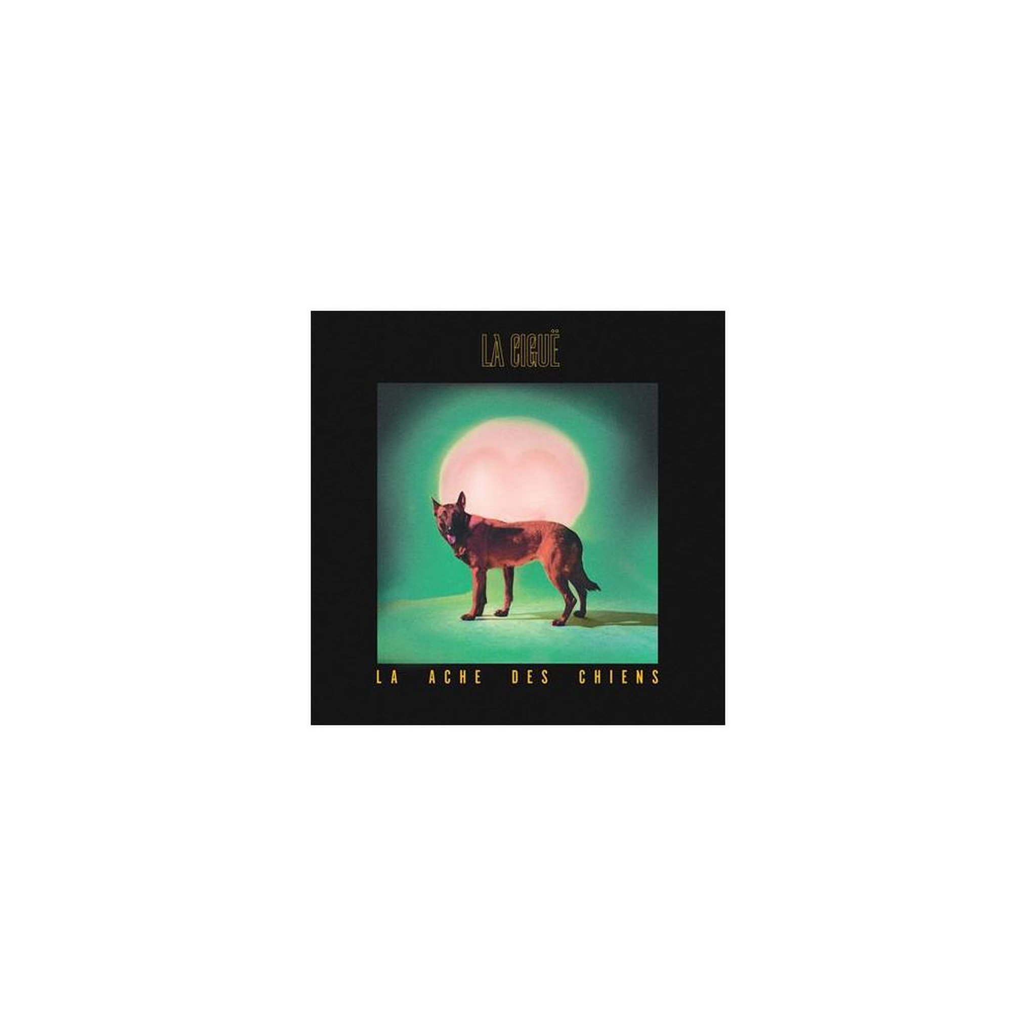 Cd audio la ciguë - la ache des chiens, electro/folk en digisleeve simple