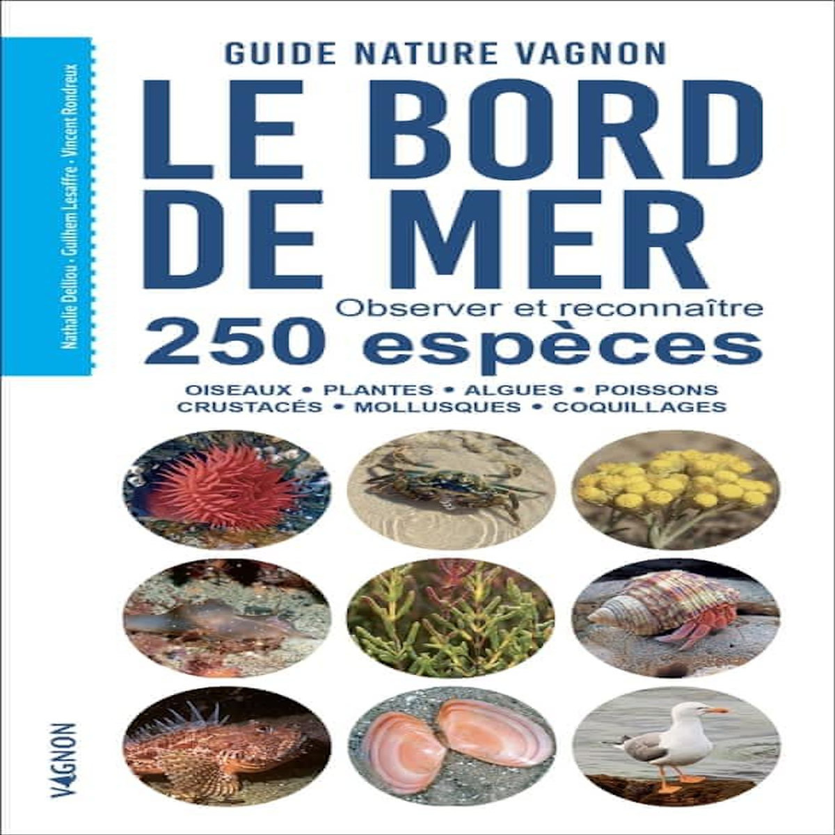 LE BORD DE MER. OBSERVER ET RECONNAITRE 250 ESPECES - OISEAUX, PLANTES, ALGUES, POISSONS, CRUSTACES, MOLLUSQUES, COQUILLAGES, Delliou Nathalie