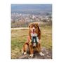 Voir la diapositive 6 : Harnais de traction pour chien - OLYMPIA - XXS - Type X-back - Bleu