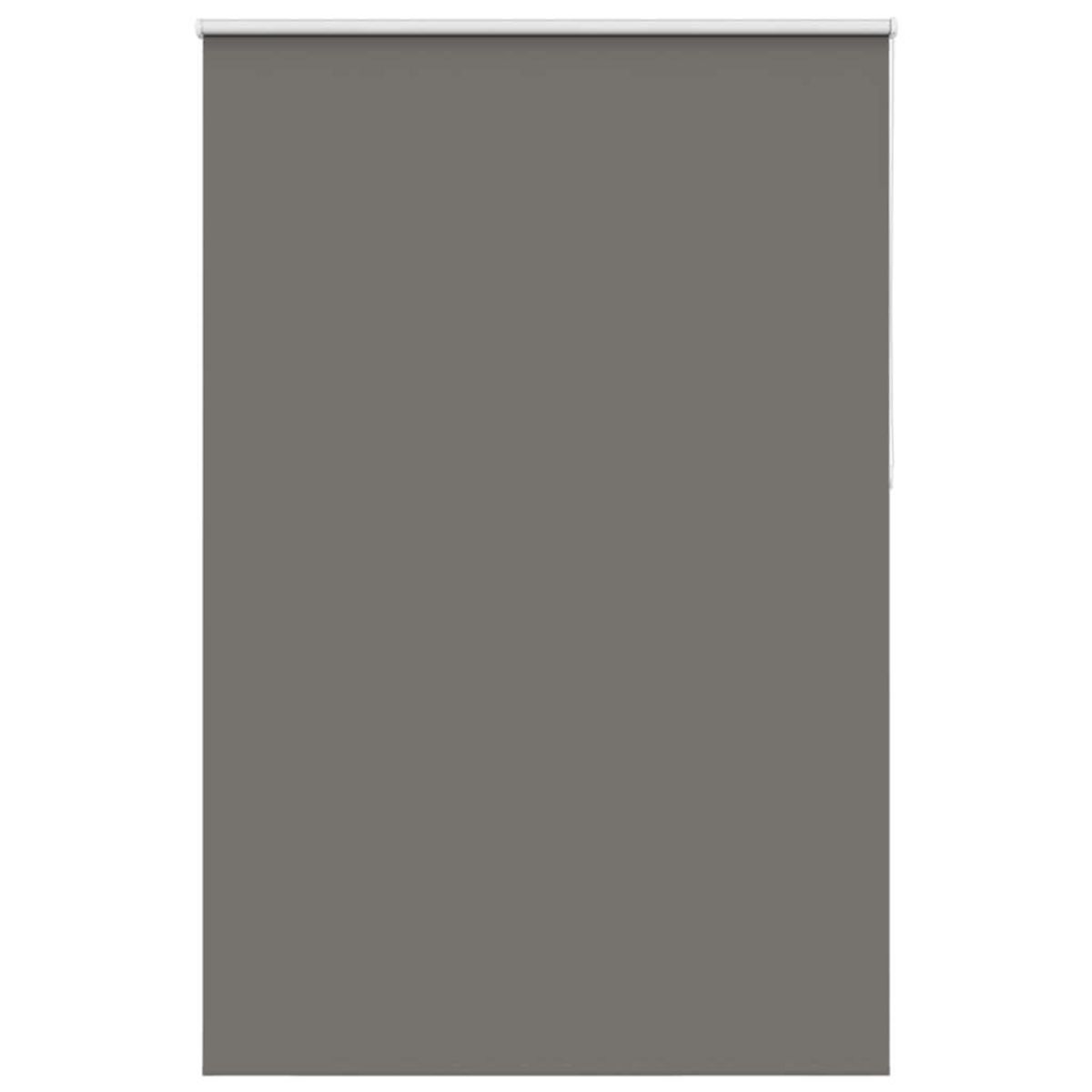 VIDAXL Store enrouleur occultant largeur du tissu 156,6 cm polyester