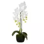Paris Prix Fleur Artificielle en Pot  Orchidée  60cm Blanc