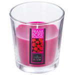 COMPTOIR DE LA BOUGIE Bougie Parfumée en Verre  Nina  90g Framboise